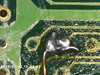 GPU_pin_03.jpg