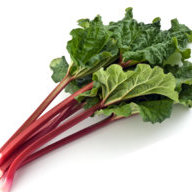 rhubarb