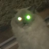 Möyh Mäyh