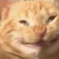 Thehelloguy