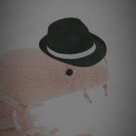 shrimp buisness