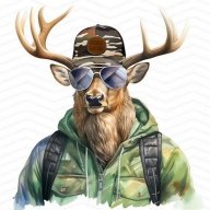 RaiZerD4i