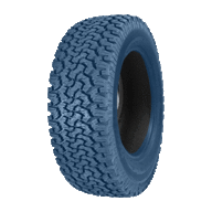 BlueTire