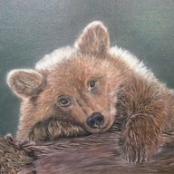 SparkleBear