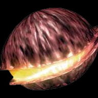 DekuNut