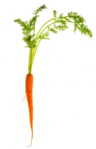 Carrot