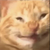 Thehelloguy