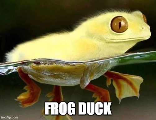 TheDuck3000