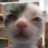 im_ad